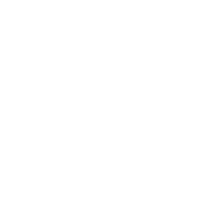 White achievement icon