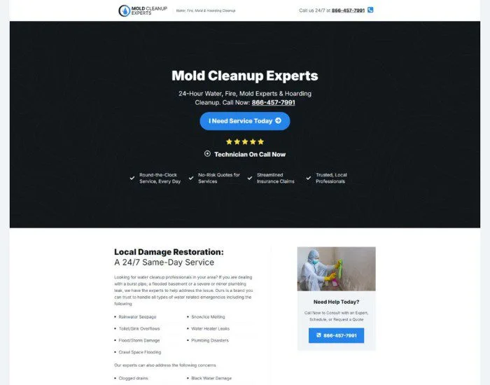 Mold Cleanup experts portfolio Image.
